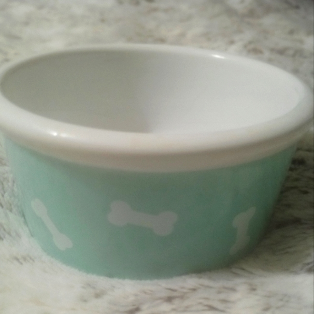 Aqua Bone Stoneware Pet Bowl